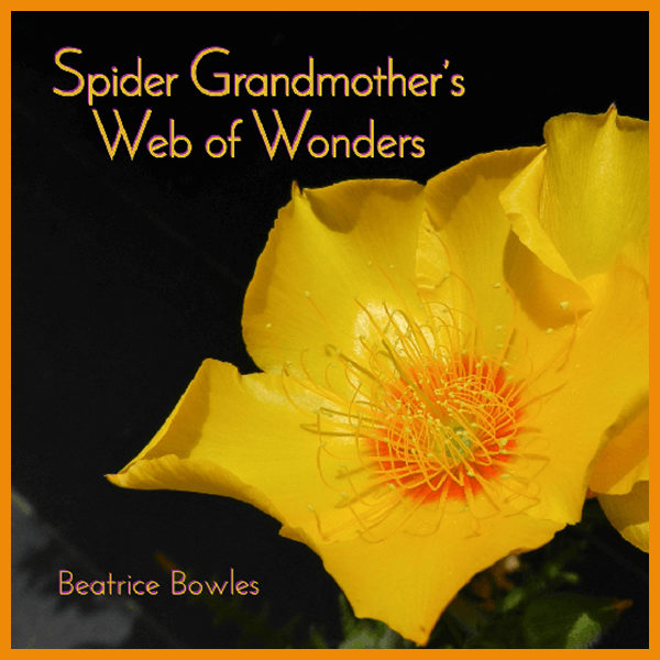 Spider Grandmother’s Web of Wonders
