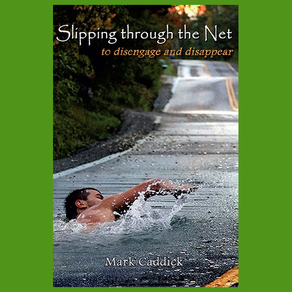 Slipping through the Net