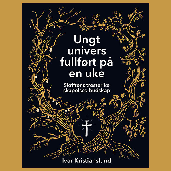 Ungt univers fullført på en uke uten makro-evolusjon