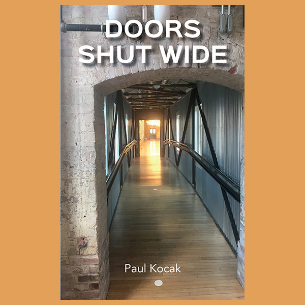 Doors Shut Wide: a nano-novel of flash fiction