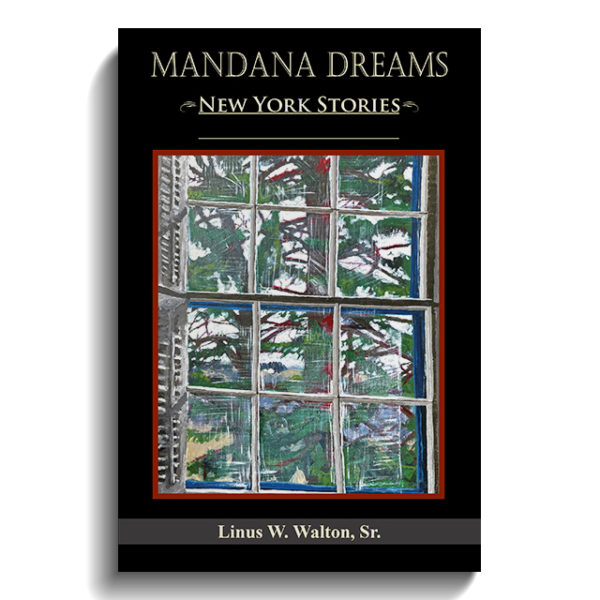 Mandana Dreams: New York Stories