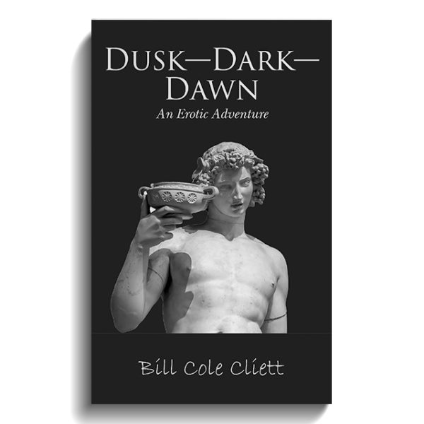 Dusk-Dark-Dawn: An Erotic Adventure