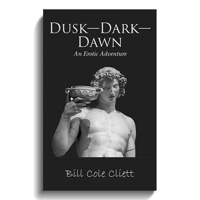 Dusk-Dark-Dawn: An Erotic Adventure