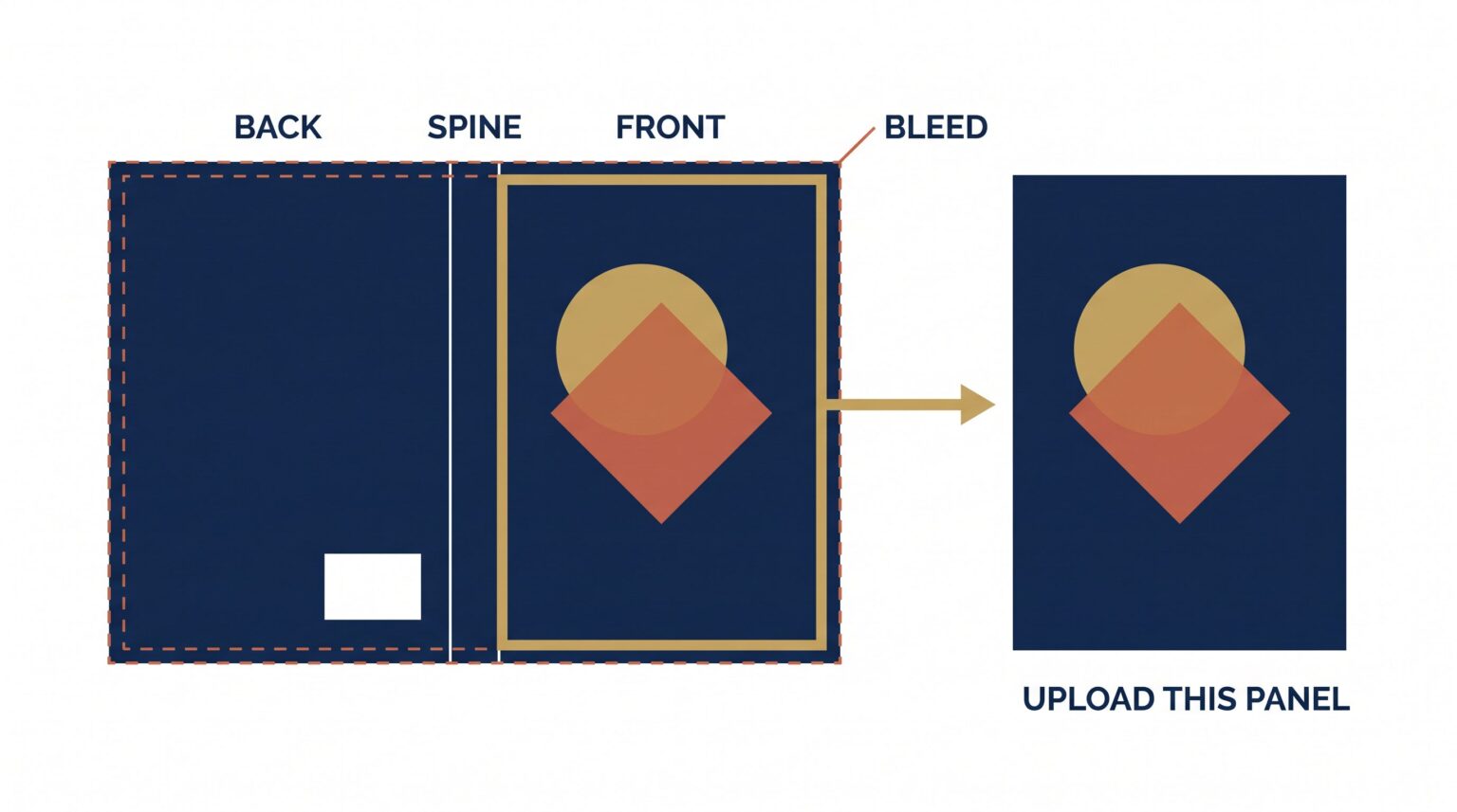 Diagram of a print cover wrap PDF showing back cover, spine, and front cover panels inside the bleed line, with the front panel extracted as the file to upload to a 3D book mockup generator